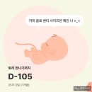 [25-3] 리코더는 내 친구 (정규) | 임신 25~28주: 태아 입체초음파, 임신 27주 배크기, 임당검사 주수 시간 시약 후기 결과