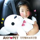 씨티에프 이미지