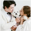 바로인연결혼정보 이미지