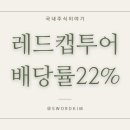 주식회사 레드캡투어 네이버블로그