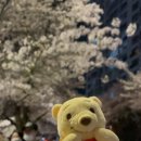 치킨 42.195 이미지