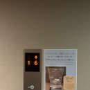 핑와 | 도쿄 Day2 츠키지시장 타코야끼 긴다코본점 터렛커피 야키니쿠맛집 코코카라 후기