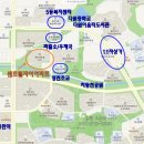 동탄자이공인중개사사무소 | 동탄2신도시 센트럴자이 아파트 매물 안내