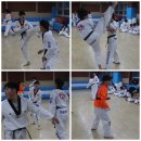 한벌태권도 이미지