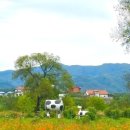 황화목장 이미지