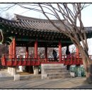 꿩고개근린공원 Daum카페