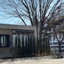 검단로제비앙라포레 2807동 앞 | 김포 베이커리카페 카페풍무 느좋 디저트 맛집 재방문 후기