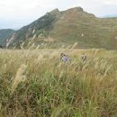 화왕산군립공원 티스토리