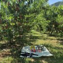 한국농장농업회사법인 주식회사 이미지