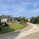 안목있는 춘향 이미지