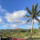 남부마트 이미지