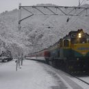 제86차 특별산행 1월14일 ﻿둘째 월요일 강원도 눈꽃및 협곡열차 이미지
