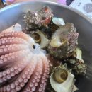 울릉도식당 이미지