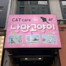 낭만고양이 | 캣카페 낭만고양이 방문 후기(둔산동 데이트 코스로 추천)