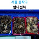 탐나전복