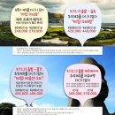 라온여행사 이미지