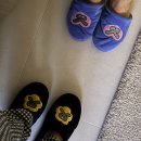 SUNSWIM(썬스윔) | 경기도 광주 '썬스윔' 서울근교 독채 펜션 내돈내산 만족후기(feat. 고양이 6마리)