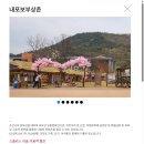 스테이덕산 | [국내여행] 스플라스 리솜 덕산 스테이타워 S25 클린A 이용 후기