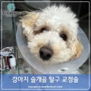 행신동물의료센터 이미지