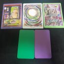 도희동물병원 | 도희선생님의 &#34;펫 타로 상담&#34; 선물