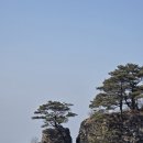 청량산 임도1 | 🌲산떨별의 하늘다리를 건너 장인봉까지,BAC100대명산 청량산에 마음을 두고 오다