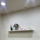 미스터빠삭 이미지