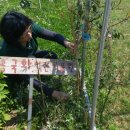 마송농장 이미지