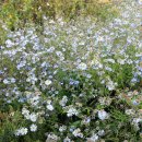 원동보건진료소 이미지