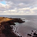 꼬지이야기 이미지