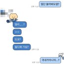 준코코 | 2025 월드 디제이 페스티벌 - 재팬 양일권 다녀온 후기 월디페 EDM