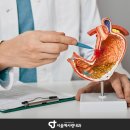 서울예사랑내과의원 이미지