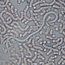 월드동물병원 이미지