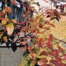 고창민박 - 휴 이미지