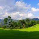 메디칼밸리 이미지