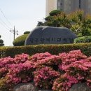 [광주교육소식] ‘교문 앞 안전지킴이 삐뽀미 설치’ 적극행정 우수사례로 선정...정지아 작가 초청 학교자치 직무연수 운영[미래교육신문] 이미지