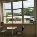 디어터틀(dear turtle) 이미지