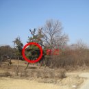 춘포면-07 이미지