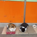 빵by좋은아침 이미지