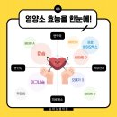 송파뉴셀의원 네이버블로그