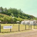 하로홈즈 이미지