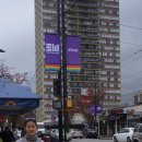 록키잉글리쉬