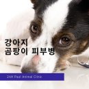 펫사랑동물병원 이미지