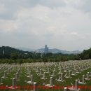사육신묘 &amp; 동작동 국립묘지＜소나기에 쫓겨 어쩔 수 없는 선택지＞ 이미지