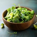 이로운 동물약국 이미지