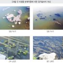 한국정화(주) 네이버블로그