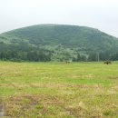 이시돌목장 이미지