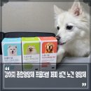 프롬퍼피 이미지