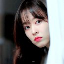 인형랜드 이미지