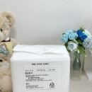 배변의기술 | BBAWAN 참숯배변패드 강아지배변패드로 추천