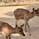 척산농장 이미지